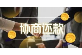 瓦房店瓦房店的要账公司在催收过程中的策略和技巧有哪些？